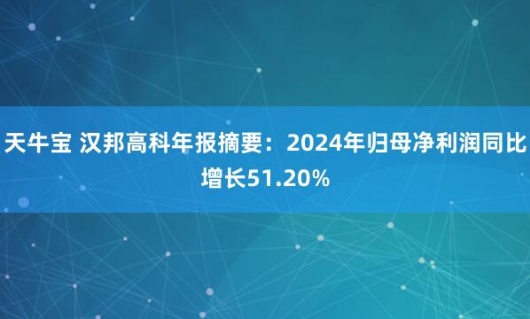 天牛宝 汉邦高科年报摘要：2024年归母净利润同比增长51.20%