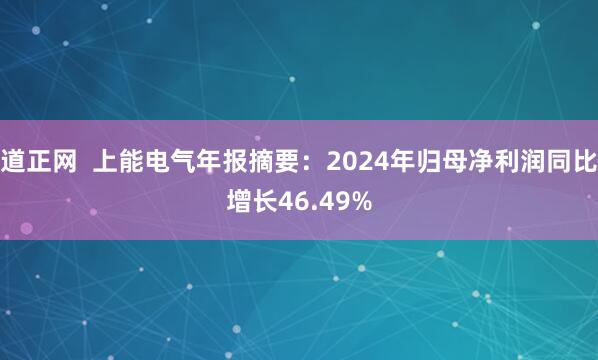 道正网  上能电气年报摘要：2024年归母净利润同比增长46.49%