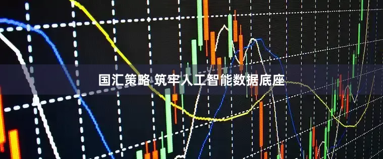 国汇策略 筑牢人工智能数据底座