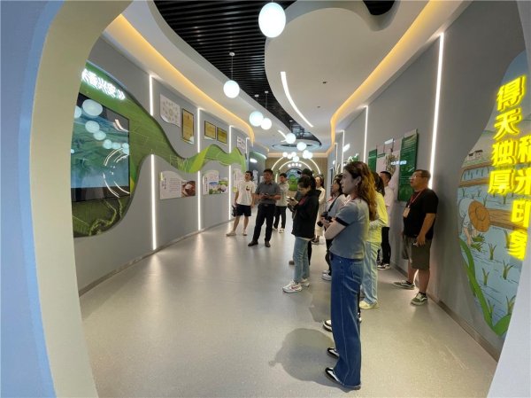 蚂蚁策略 三合村，振兴有“稻”_大皖新闻 | 安徽网