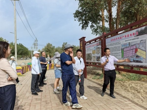 张吧策路 从“戈壁仙草”看防沙治沙的“新疆智慧”_大皖新闻 | 安徽网
