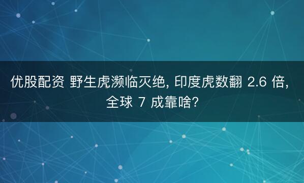 优股配资 野生虎濒临灭绝, 印度虎数翻 2.6 倍, 全球 7 成靠啥?